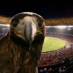 Giant eagle conjured up by AR reveals IPL trophy at finals