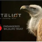 Sateliot to help wildlife conservation in Africa using 5G IoT satellites